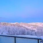Janiolow Wierch 43 Jacuzzi I Sauna Appartement Groń