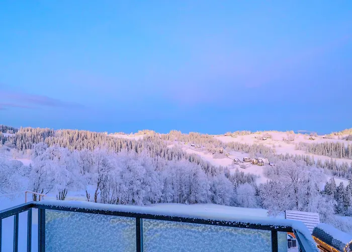 Janiolow Wierch 43 Jacuzzi I Sauna Apartment Groń